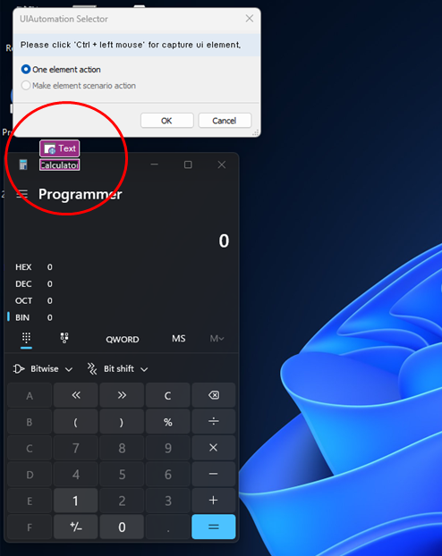 UI element 캡처·검증 화면